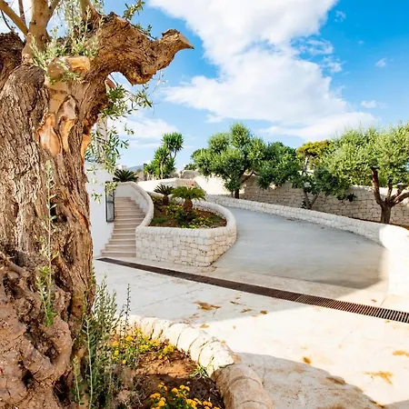 Domus Petraianca Guest house