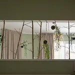 게스트하우스 Domus Petraianca 4*